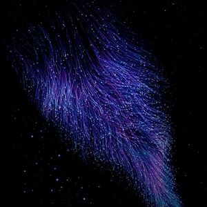 Meet your Posher, Cortney